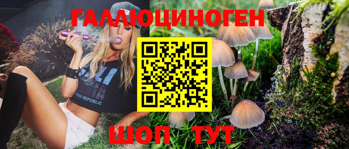 Псилоцибиновые грибы Psilocybine cubensis  Вход с VPN  Алексеевка 