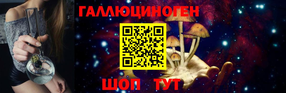 Псилоцибиновые грибы Cubensis Алексеевка